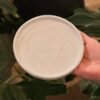 Plato Ceramica reborde 15cm