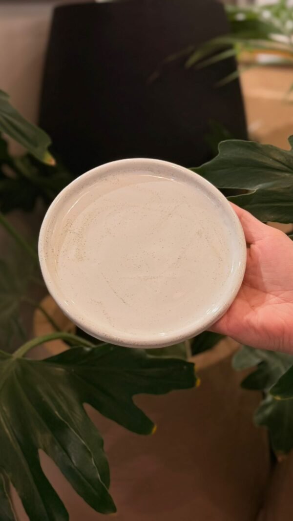 Plato Ceramica reborde 15cm