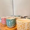 Taza China y Plato de Madera