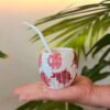 Mate Ceramica Varios