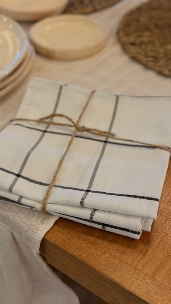 Servilleta 40x40 Tusor