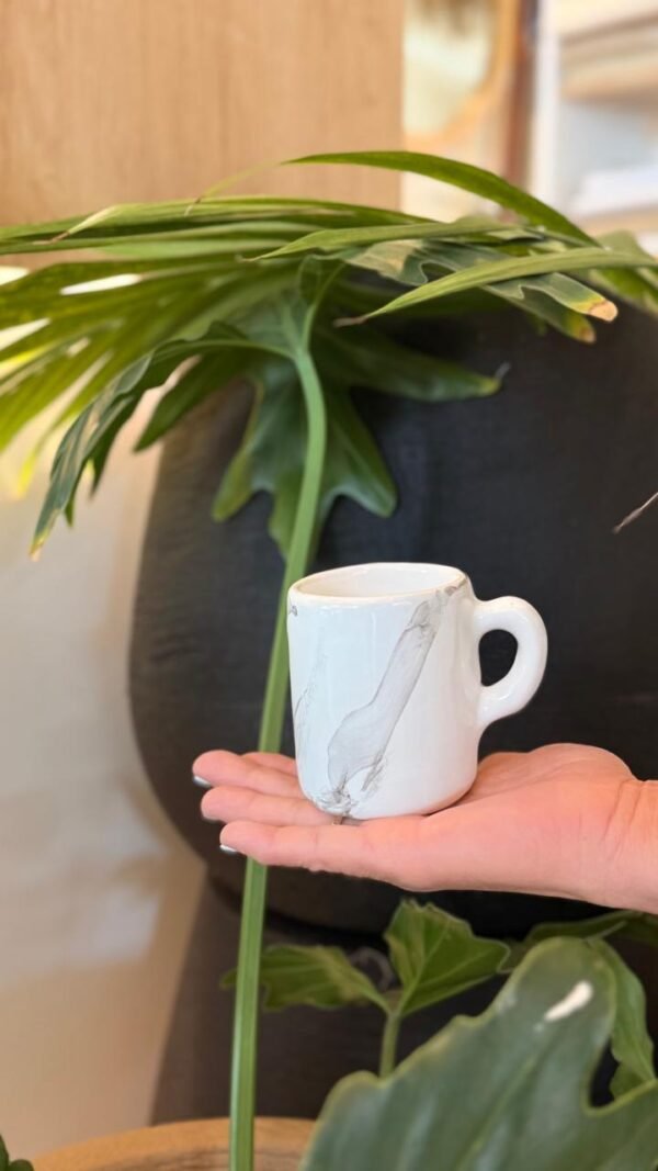 Taza Ceramica Jarrito