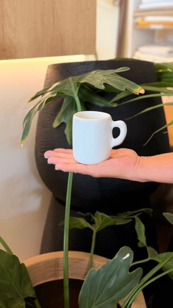 Taza Ceramica Jarrito