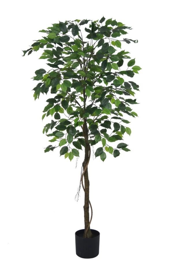Planta Artificial Ficus Benjamina 160cm