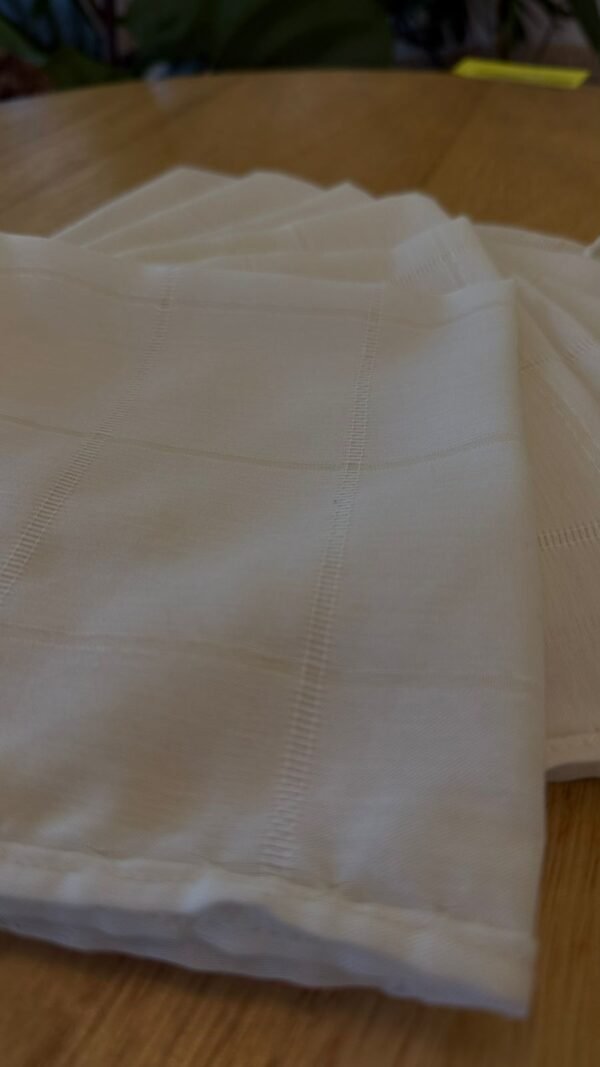 Servilleta 40x40 Tusor