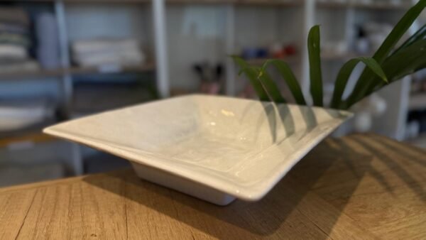 Plato Ceramica Hondo 22cm