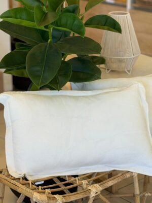 WhatsApp Image 2025-11-19 at 5.41.14 PM (1) Almohadon Natural Clasico C/Pestaña Liso 70x50