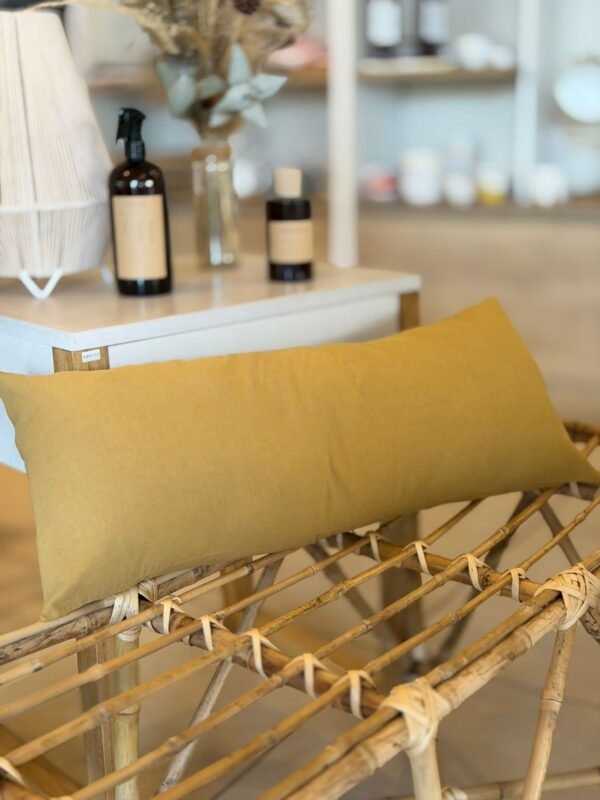 Almohadon Liso 60x30