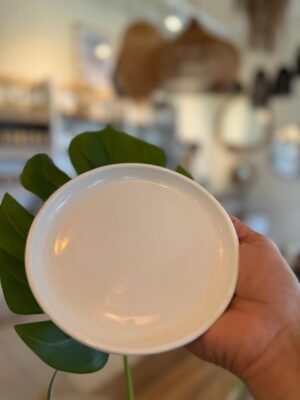 Plato Ceramica Industrial 15cm